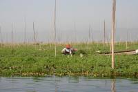 Inle Lake