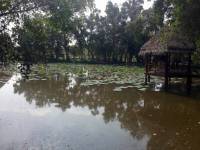 Vinh Long, Mekong River